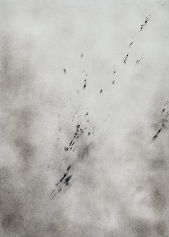 2026, 70 x 50 cm